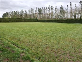 First cut of the Green Wed 25th Feb 2026